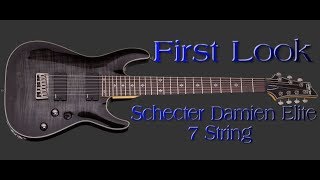 Video thumbnail for First Look at the Schecter Damien Elite 7 String by JandW Music