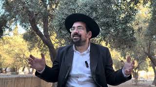 יום חתימת אמנת עולי ההר • לא נעזוב את בית אלוהינו לעולם | הרב אליהו ובר (ישיבת הר הבית) - התמונה מוצגת ישירות מתוך אתר האינטרנט יוטיוב. זכויות היוצרים בתמונה שייכות ליוצרה. קישור קרדיט למקור התוכן נמצא בתוך דף הסרטון יום חתימת אמנת עולי ההר • לא נעזוב את בית אלוהינו לעולם | הרב אליהו ובר (ישיבת הר הבית) - התמונה מוצגת ישירות מתוך אתר האינטרנט יוטיוב. זכויות היוצרים בתמונה שייכות ליוצרה. קישור קרדיט למקור התוכן נמצא בתוך דף הסרטון