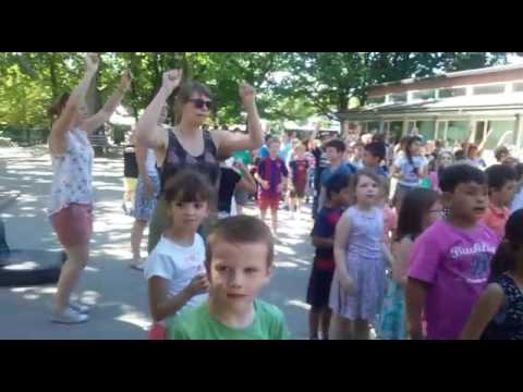 DOE DE DABIDEE: BSBO Groenlaar REET