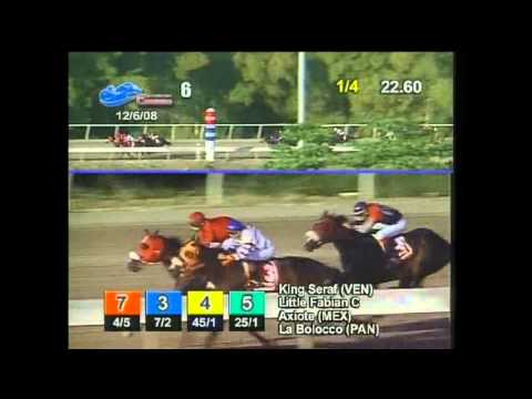 KING SERAF - COPA VELOCIDAD 2008