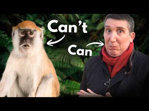 Why animals can't talk (but almost can)