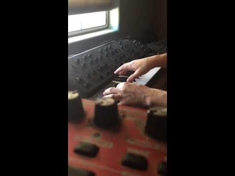 Yamaha CS-15 Monophonic Analog Synthesizer Demo