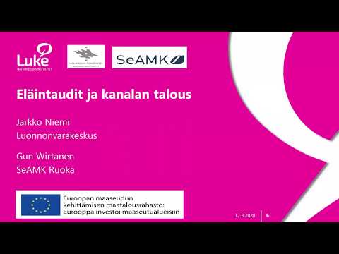 , title : 'BioEläinTurva: Eläintaudit ja kanalan talous'