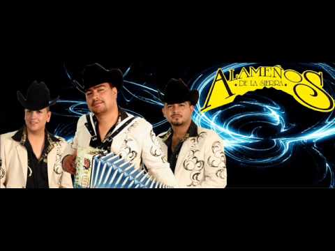 ANDO BIEN ARREGLADO Y CUMBIAS EN VIVO BY ALAMEÑOS DE LA SIERRA