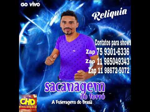 SACANAGEM DO FORRÓ (MÚSICAS INÉDITAS 2023)