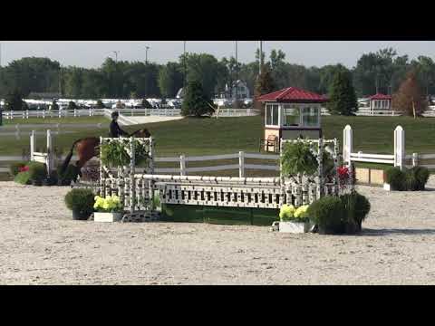 Trendsetter Small Junior Hunter