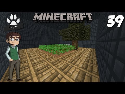 Automated Tree Farm with Industrial Foregoing  : 1.12 Modded Minecraft DireWolf20 : E39