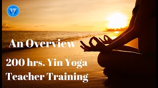 Wastelander Panda Prologue