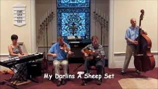 Don Roy & The Trio/My Darlins a Sheep Set