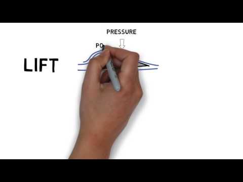 Fluid Mechanics - Bernoulli's Equation