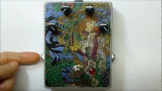 Video thumbnail for Closer Look / Video Manual - FuzzHugger Algal Bloom by FuzzHugger Effects