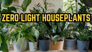 37 Stunning Houseplants That Thrive Without Sunlight