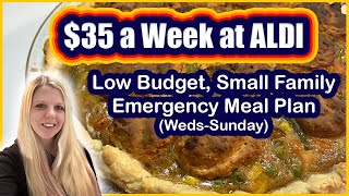 Feeding My Household For $35 a Week | Aldi Budget Meal Plan | Emergency Grocery Haul