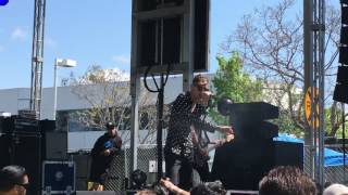 Black Sap Scriptures (LIVE) - PLAGUE VENDOR @ When We Were Young