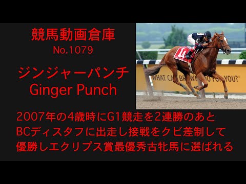 【競馬】ジンジャーパンチ　Ginger Punch【No1079】