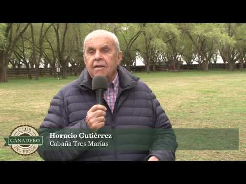 Opinión sobre el Club del Inversor Ganadaro