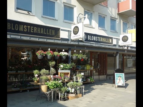 Blomsterhallen Wieselgrensplatsen Gbg 2018