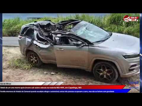 Bebê de um ano morre após árvore cair sobre veículo na rodovia MG-444, em Capetinga, MG