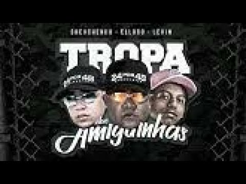 Shevchenko e Elloco part. MC Levin - TROPA DAS AMIGUINHA / BARRACO BALANÇAR ( BREGA FUNK.)