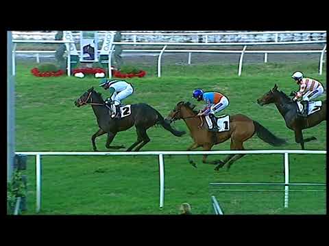 Galoppo 04/01/2021 - 5ª corsa