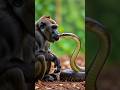 Big Snake A Big Monkey Cake Cakedesign Cakedecorating Garnish Shortvideo Shorts Youtubeshorts