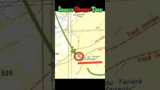 THE LONE TREE OF TÉNÉRÉ 😱THE TRAGIC FALL OF AN ICONIC TREE!