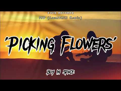 Picking Flowers - Boy In Space [PJD LocalChill ReMix]