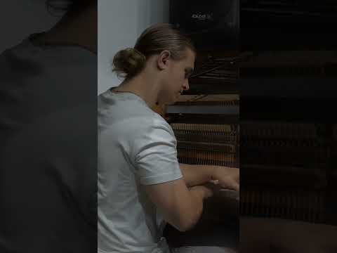 Tim Ewald  | live piano