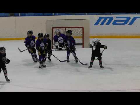 Hoki U8, 2017.02.26. (2. meccs) Veszprém  - UTE