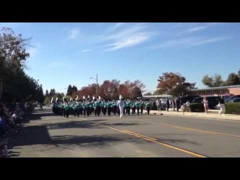 BOSS Bands Of Santiago Sharks