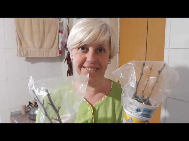 Youtube Video Youtube Video