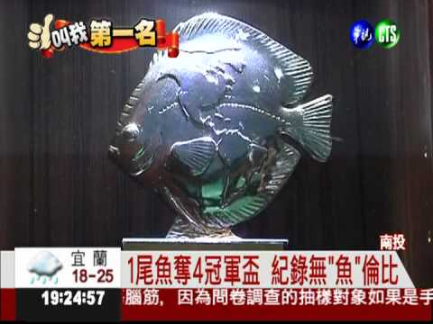 把魚當孩子養 四處征戰奪冠軍