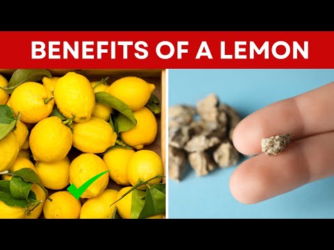 The Mind-Blowing Benefits of a Lemon