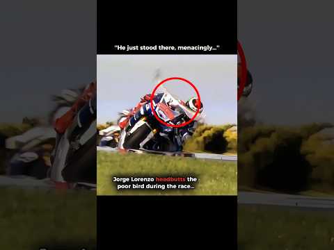Jorge Lorenzo Should Watch His Back Against The Birds in MotoGP