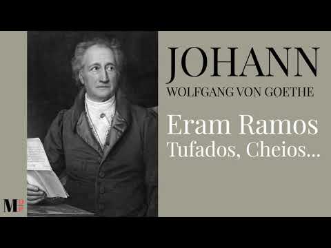 Eram Ramos Tufados, Cheios...| Poema de Johann Wolfgang Von Goethe  com narração de Mundo Dos Poemas