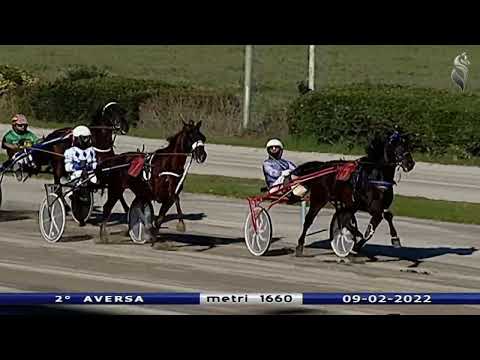 Aversa trotto 9 Febbraio 2022 - 2° Corsa
