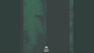 Plasser (Original Mix)