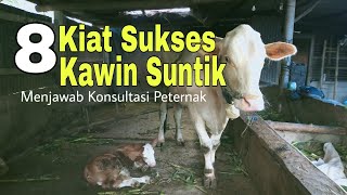 Download lagu TIPS  SUKSES KAWIN SUNTIK mp3