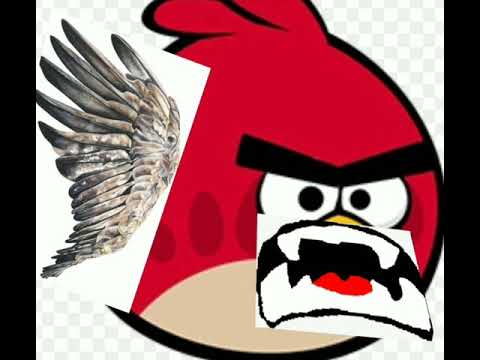 Angry birb discovers DogKat Bars