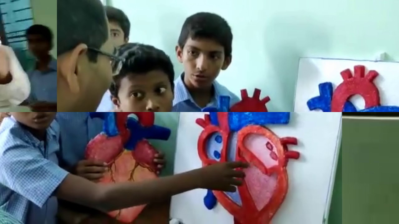 Bengal Public School