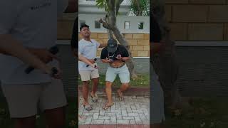 Download lagu JOGJA ISTIMEWA #story #storywa #jogja #invex #katakata mp3