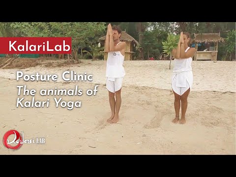 Posture Clinic: The animals of Kalari Yoga (part 1)