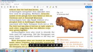 CH 1 BRICKS BEADS AND BONES(AGRICULTURAL TECHNOLOGIES)