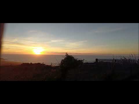 The Brian Jonestown Massacre - Miss June 75