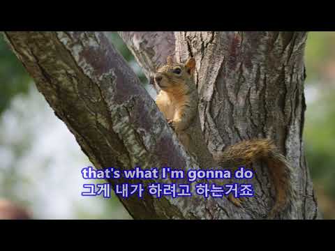 Playground in My Mind - Clint Holmes: with Lyrics(가사번역)|| Centennial Center Park