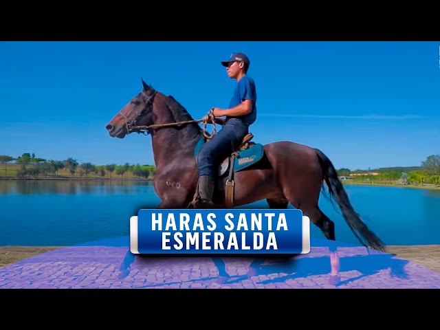 Vídeo sobre o produto #