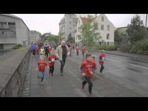 Reykjavik Culture Night