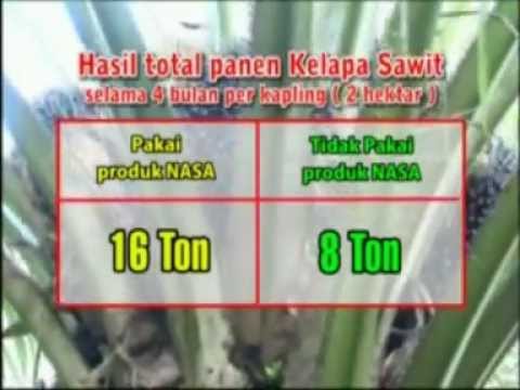 Meningkatkan potensi dan nama buruk Obat yang sangat baik untuk potensi laki-laki