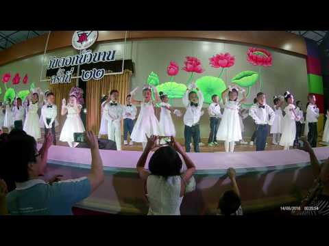 พีเค ดอกบัวบาน 60