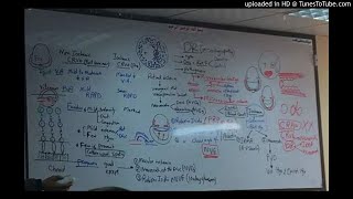 23) Dr. Wael Salah diabetic retinopathy